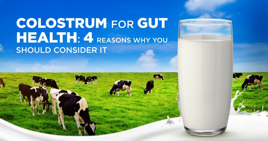Colostrum for Gut health