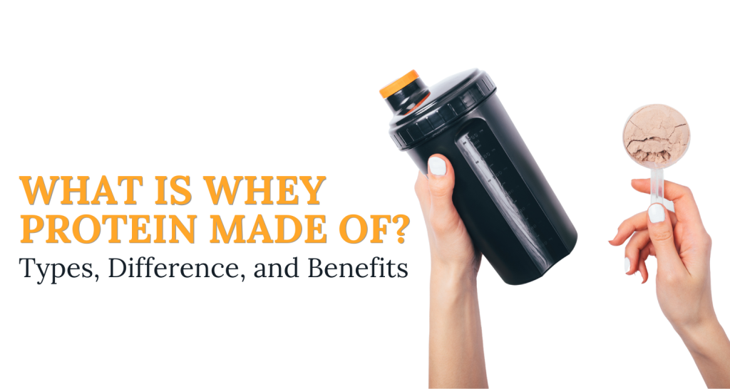 What is whey protein made of
