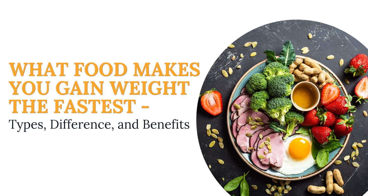 What Food Makes You Gain Weight The Fastest Protein And Carbs Meals 