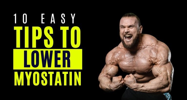 lower myostatin