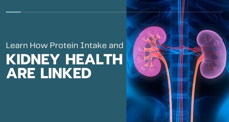 Learn How a High-Protein Diet and Digestion Are Co-related