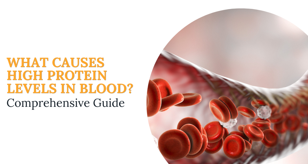 what causes high protein levels in blood