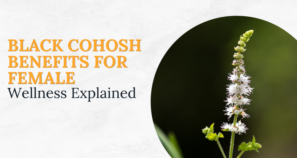 black cohosh benefits for female